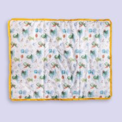 Trapunta neonato Draghetti