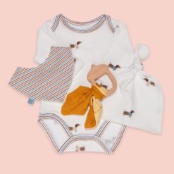 Bundle kit nascita Bassotti