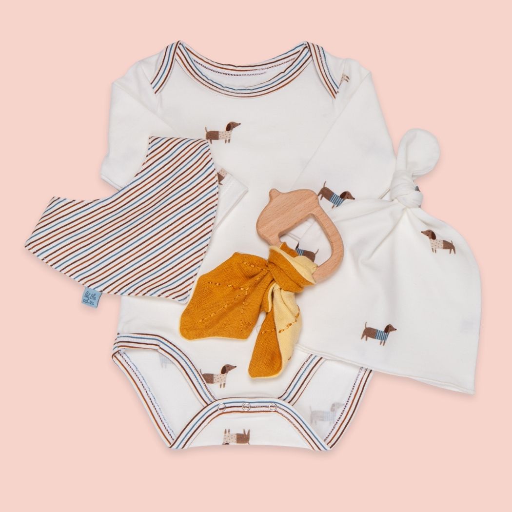 Bundle kit nascita Bassotti Bundle kit nascita Bassotti